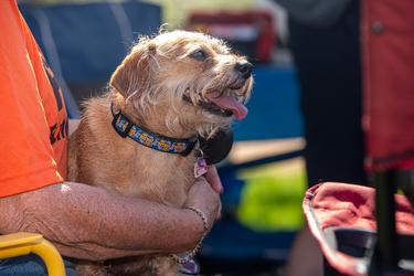 Mike Letson Photography